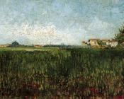 文森特 威廉 梵高 : 有罂粟的草地